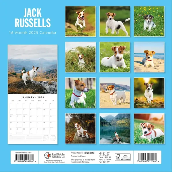 Jack Russells 2025 Calendar