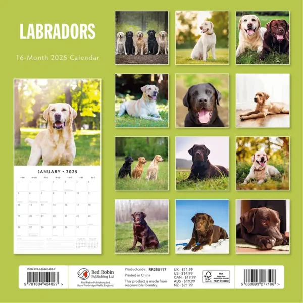 Labrador Dog Calendar 2025