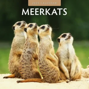 Meerkats Calendar 2025