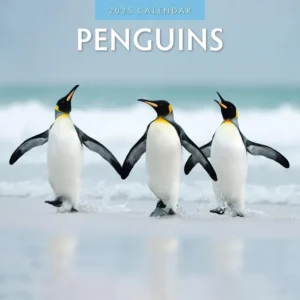 Penguins Calendar 2025