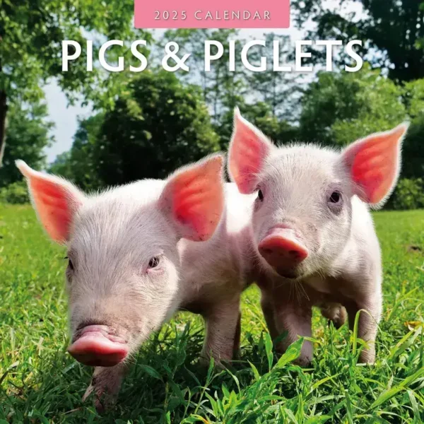 Pigs Calendar 2025