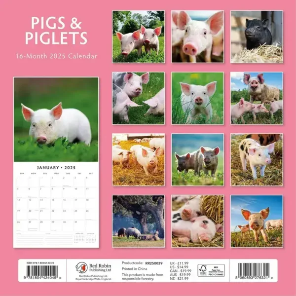 Pigs Piglets Calendar 2025