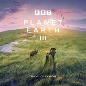 Planet Earth 2025 Calendar