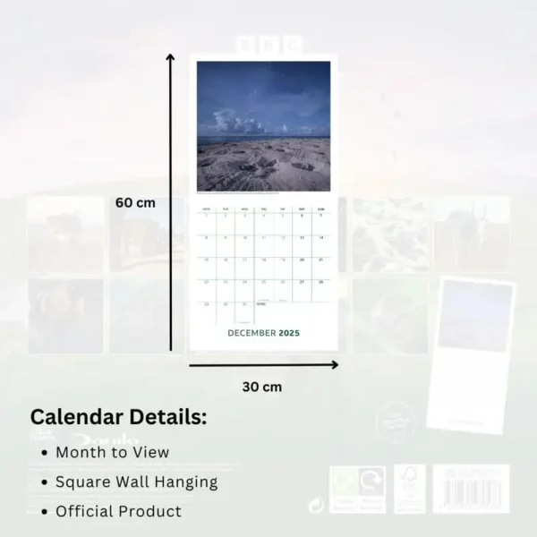 Planet Earth Calendar 2025