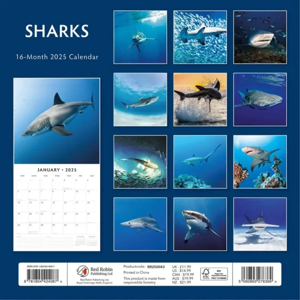 Sharks 2025 Calendar