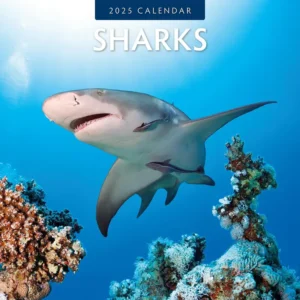 Sharks Calendar 2025