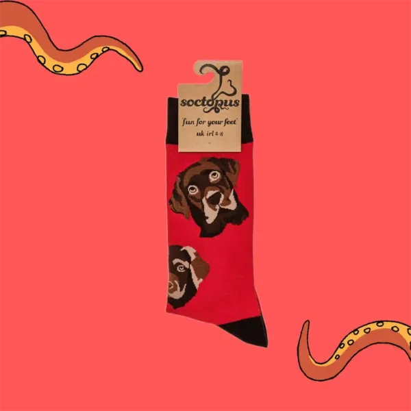 Soctopus Chocolate Labrador Dog Socks