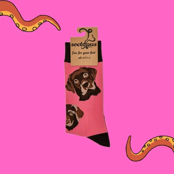 Soctopus Chocolate Labrador Socks