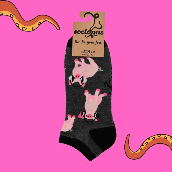 Soctopus Trainer Pigs headphones Socks