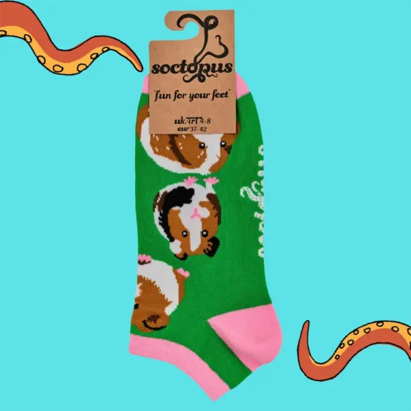 Soctopus Trainer Socks Guinea Pig