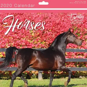 2020 Calendars