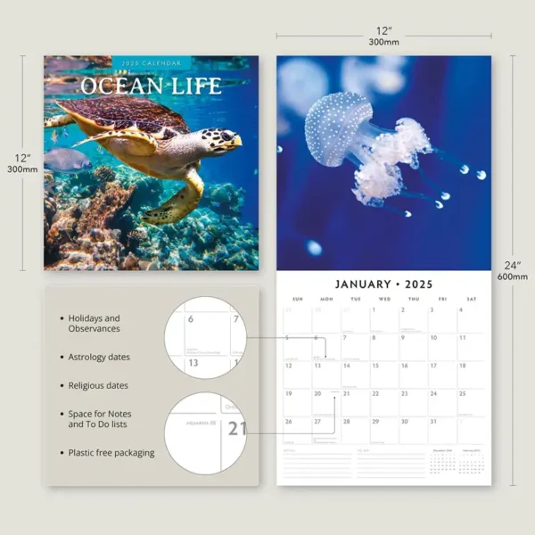 2025 Ocean Life Calendar