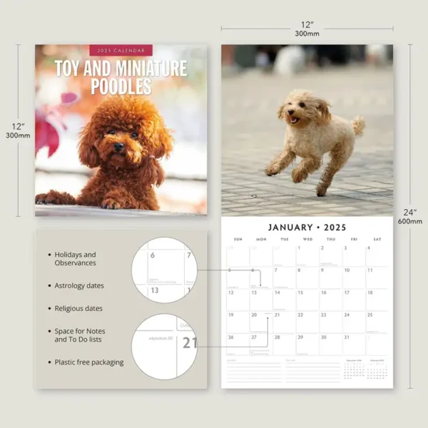 2025 Toy Miniature Poodles Calendar