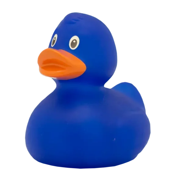 Blue Rubber Duck