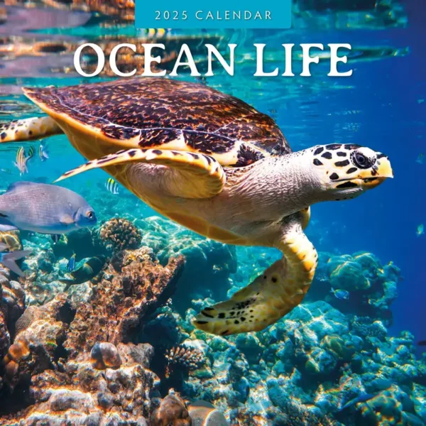 Ocean Life Calendar 2025