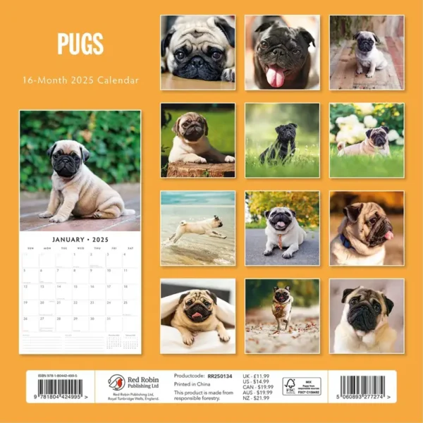 Pugs 2025 Calendar