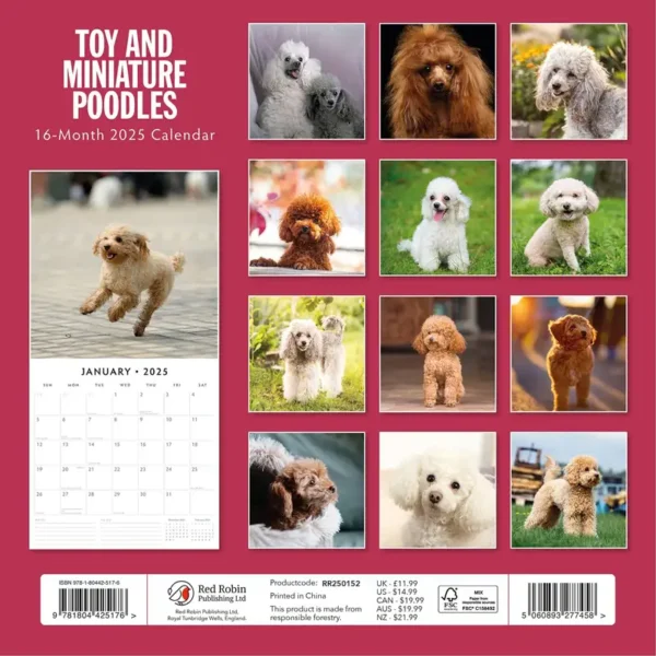 Toy Miniature Poodles 2025 Calendar