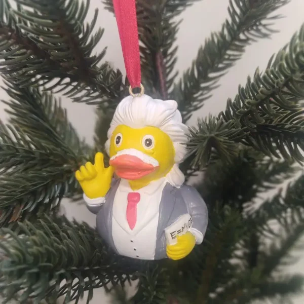 Albert Einstein Rubber Duck Decoration