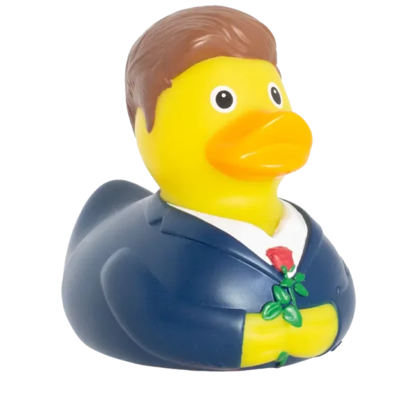 Bachelor Duck