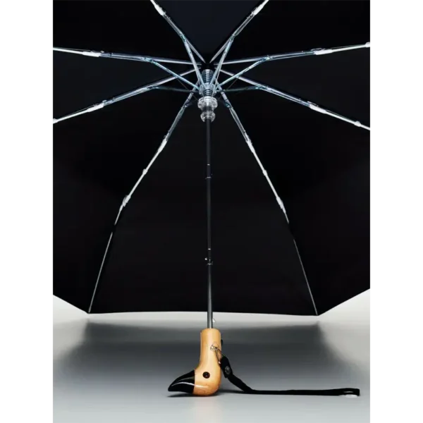 Black Umbrella